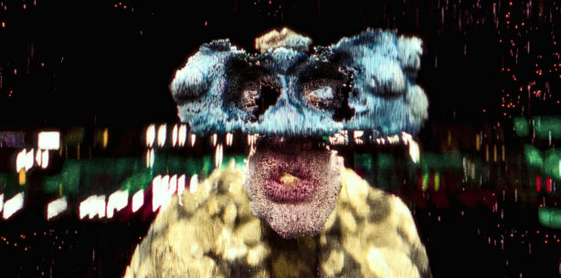 Medical Field Guide or Rules of Engagement with Native E-girls