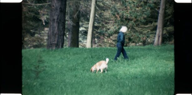 HOW TO WRITE, an AI guide in 4 steps